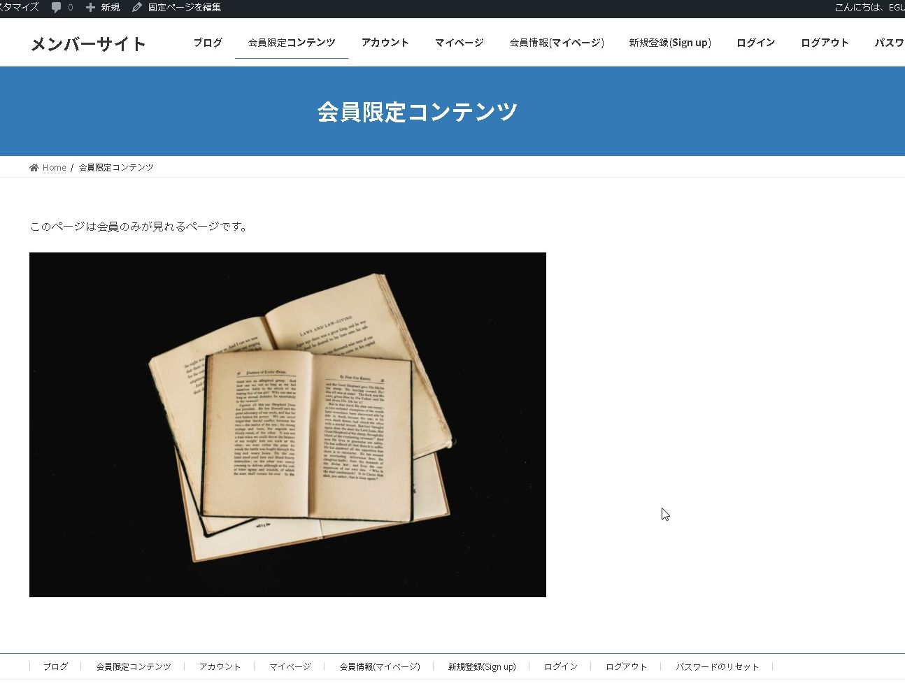 【WordPress】Ultimate Memberプラグインで会員制サイトを作る-PART2