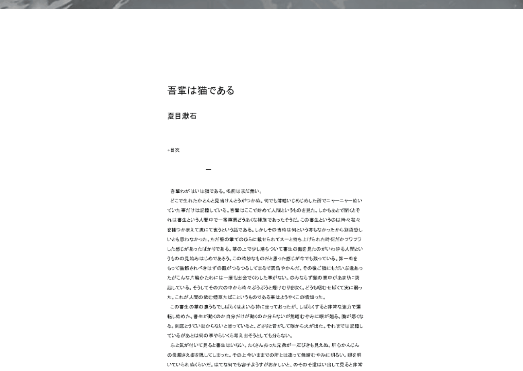 【WordPress】3D FlipBook プラグイン｜PDFを本を読んでいるようにページめくりができるようになる便利プラグイン！